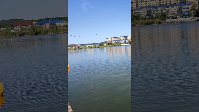 обзор катания на сапе