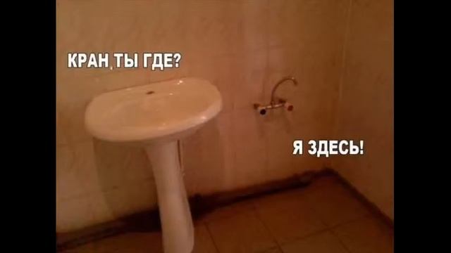 збірка фото пріколів N1