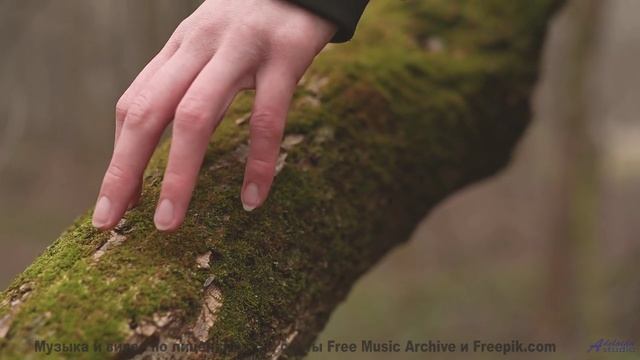 Мелодия двигает облака прямо на ваших глазах - Plinth -- NADINE -- Live at WFMU for Sophisticated Bo