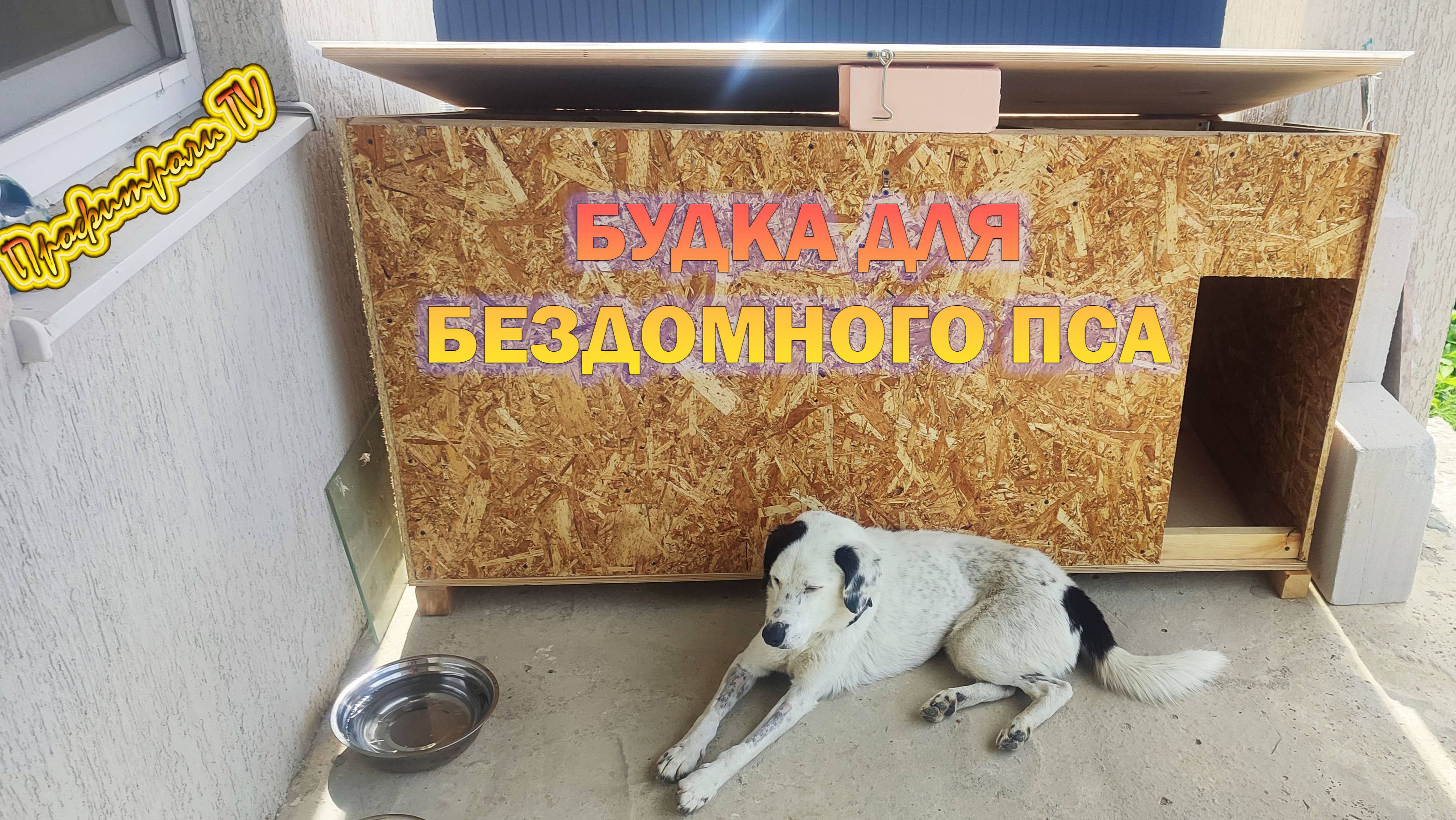 Будка для бездомной собаки или как спасти Бима