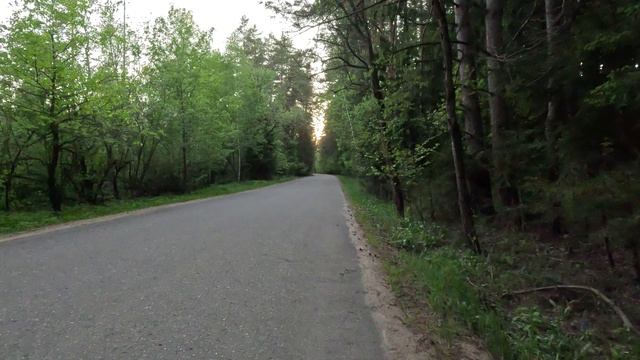 На велосипеде 37