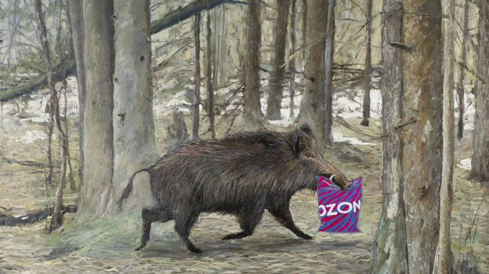 24-250525
