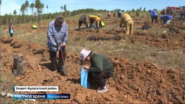 Новая жизнь на пепелище. Всемирная акция Сад памяти прошла и по Усть-Ордынскому округу