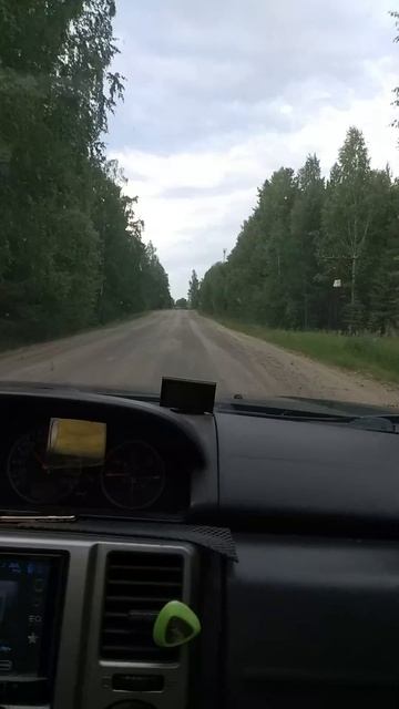 Дорога на рыбалку #рыбалка #природа #дорога