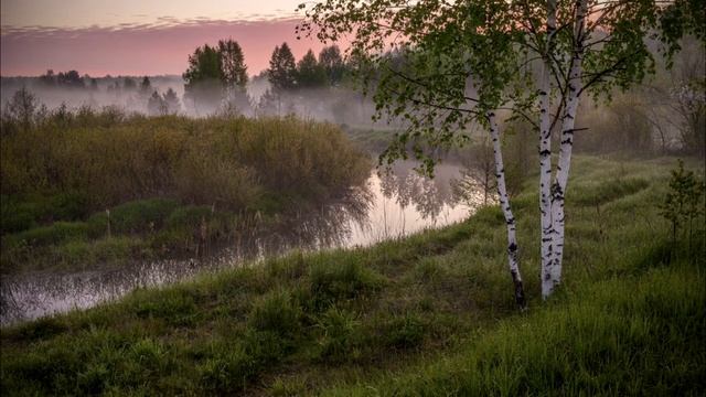 «Ты не плачь, моя береза» _ Наталия Вершинина.