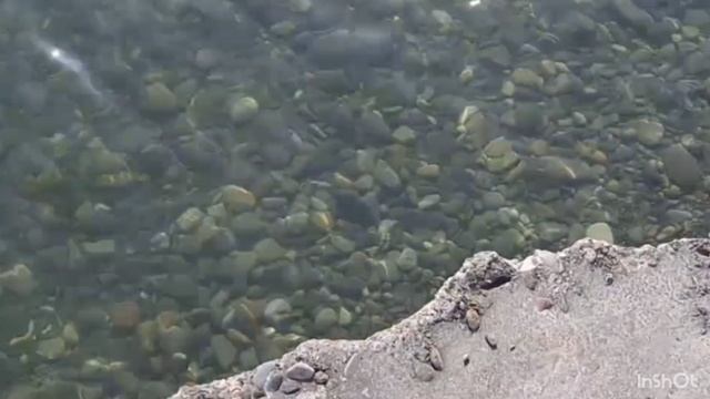 друзья, только посмотрите, как прекрасно море, вы тоже любите море, как и я?