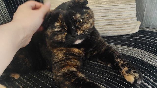 С чувством выполненного долга😸😸