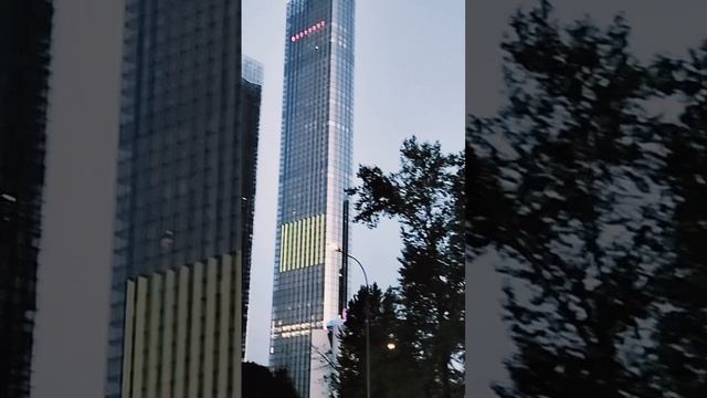 Краснопресненский парк. 24.05.2025 г. Россия.