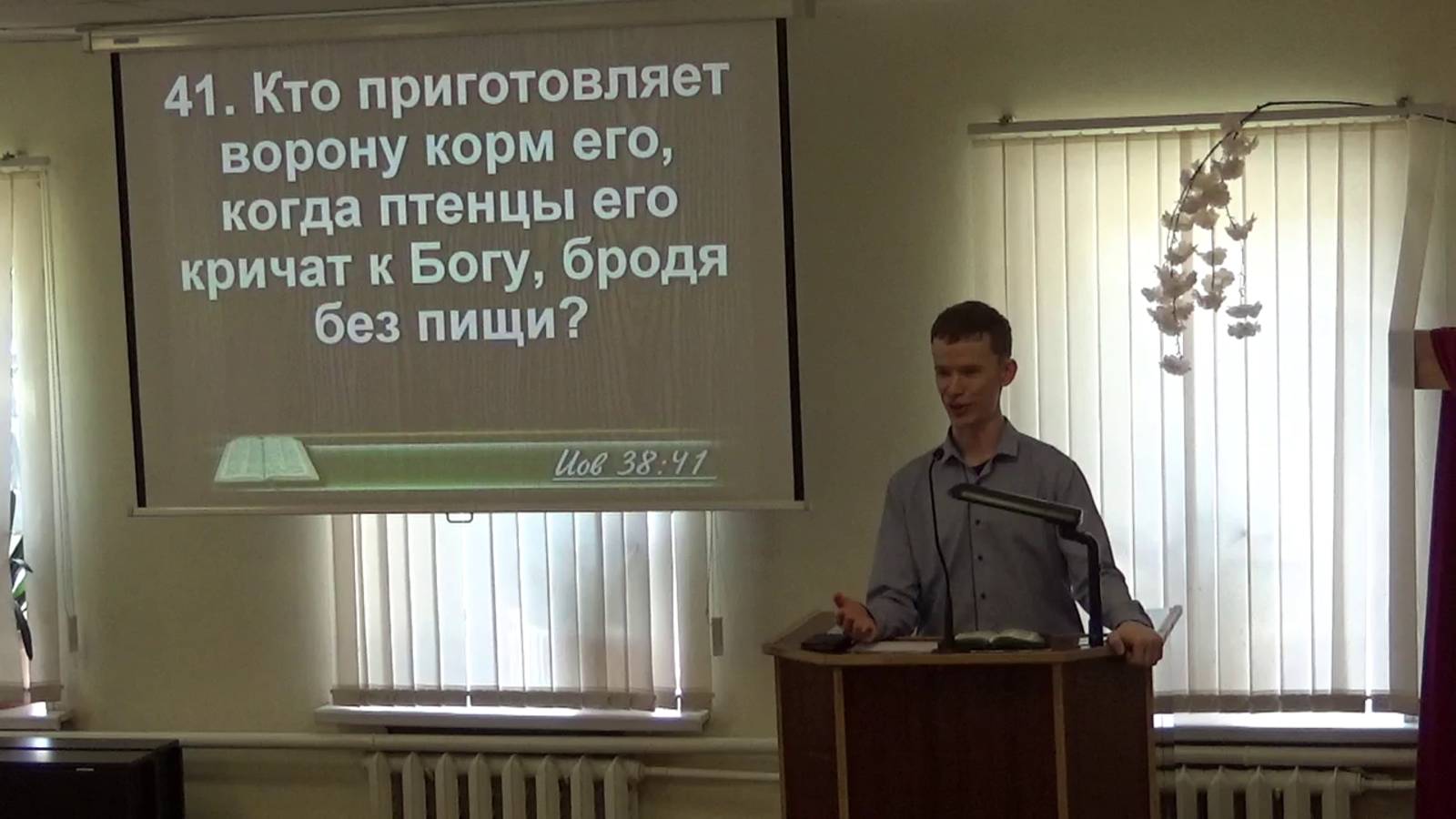 Красота провидения в творении
