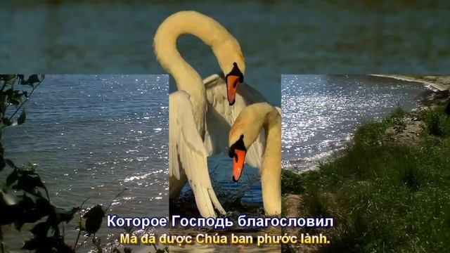 Спускается над озером закат (Hoàng Hôn Đang Xuống Dần Trên Mặt H?