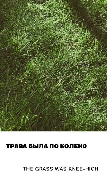 Трава