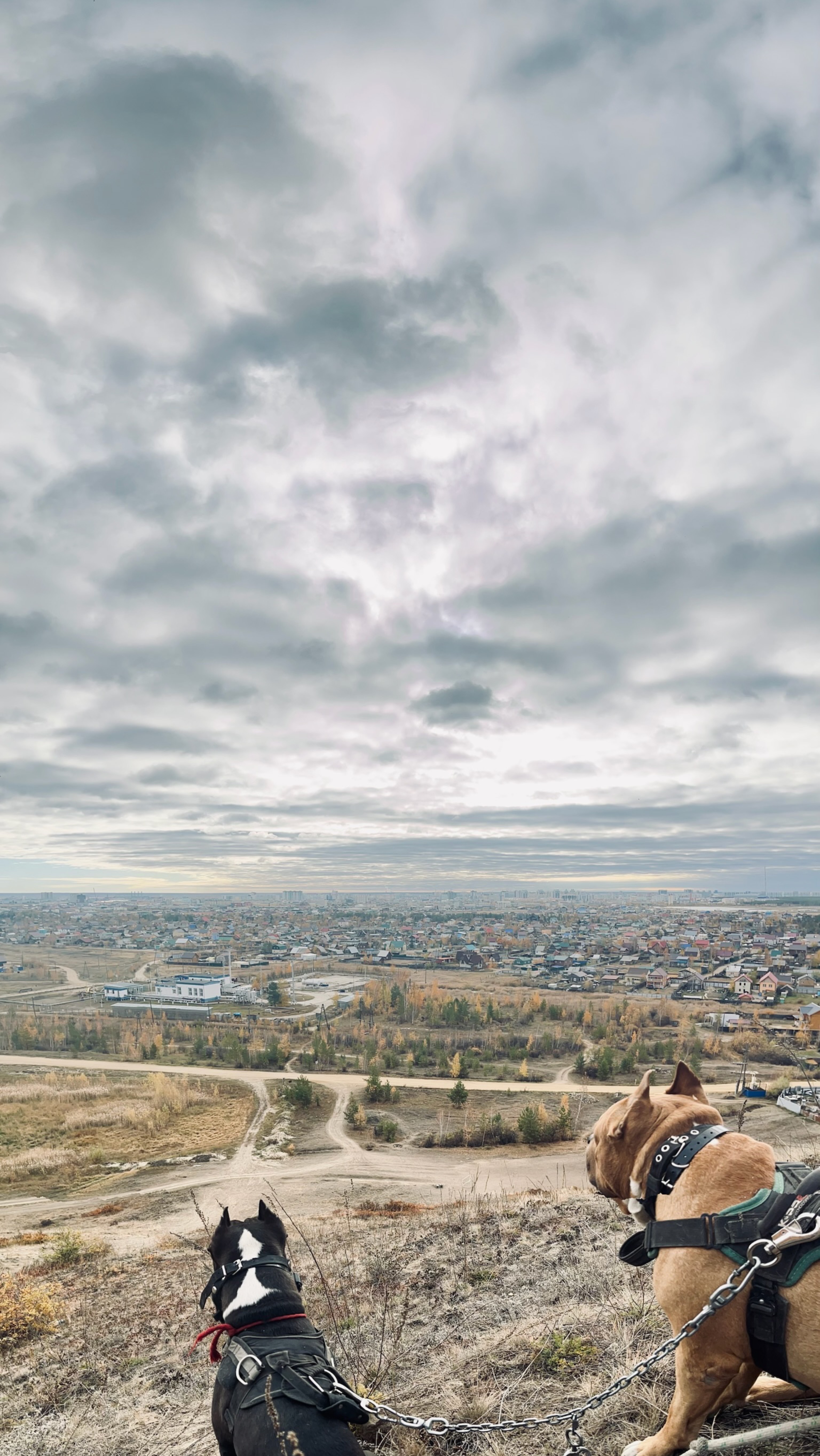 Аффирмации.