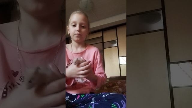 1000008520.mp4 Что делать с   суриским хомячком?