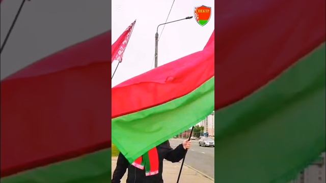 Спектр