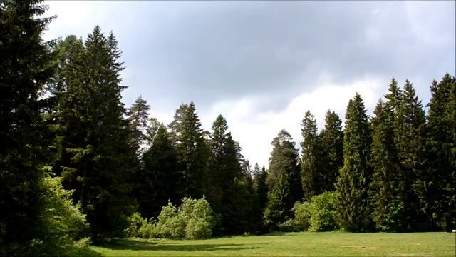 Выпуск 25.05.2025