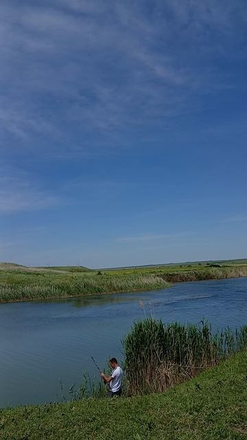 рыбалка-рыбалочка)