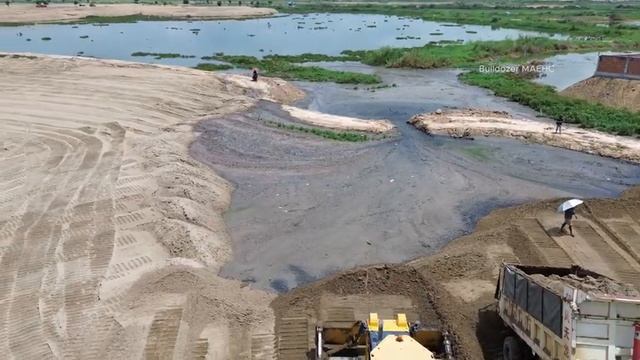 Бульдозер SHANTUI засыпает огромное болото.