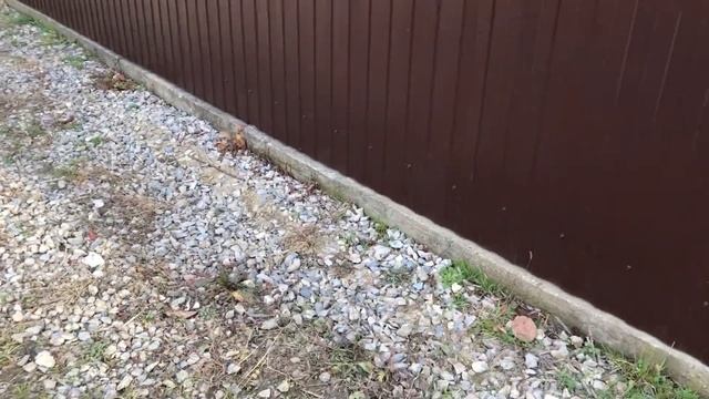 Забор с кирпичными колонами «жалюзи»  Новодмитриевская