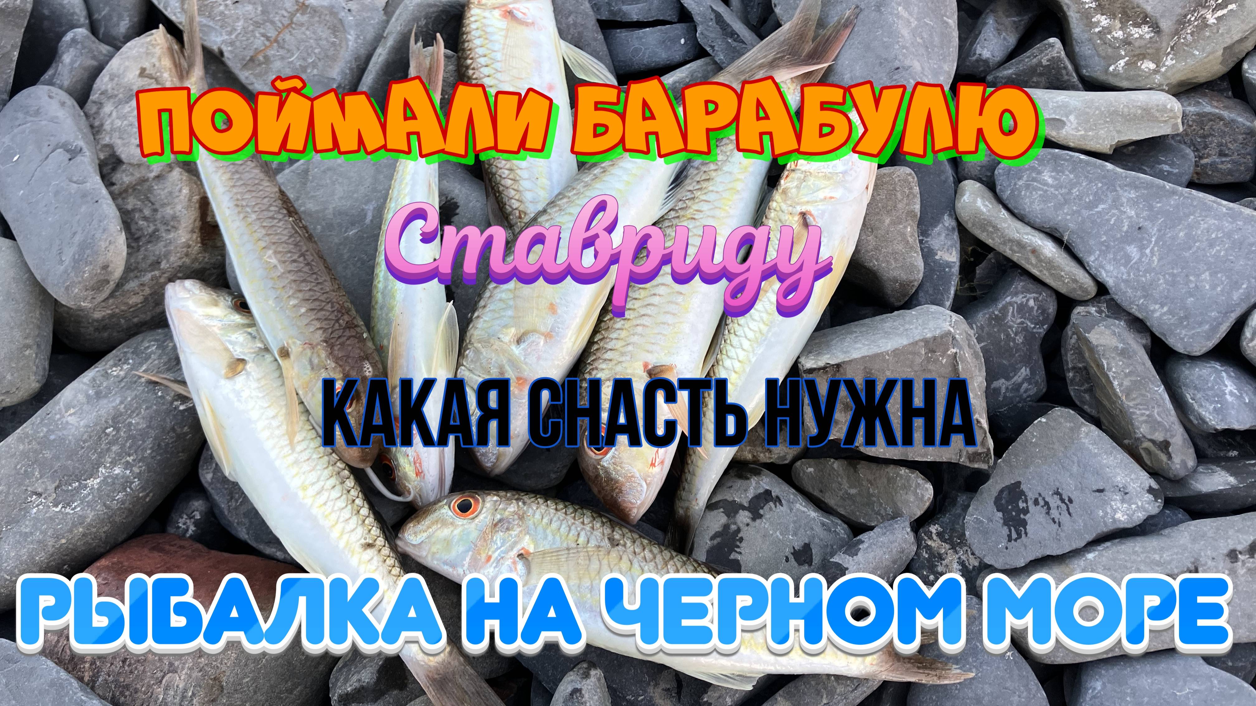 Поймали барабулю и ставриду с берега на бомбарду и тирольскую палочку