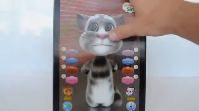 3D планшет Кот Том