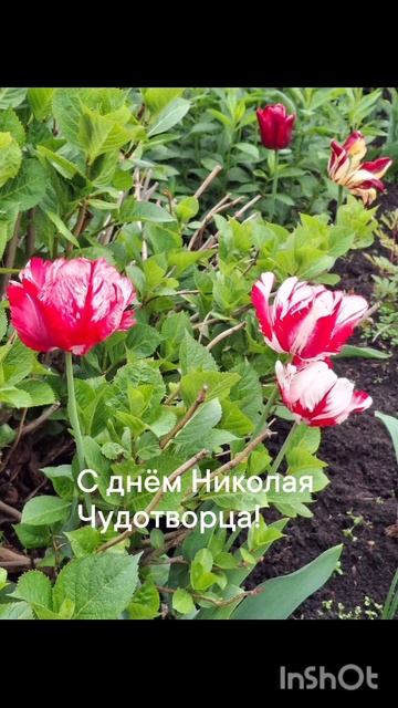 С днём Николая Чудотворца. 22.05.2025