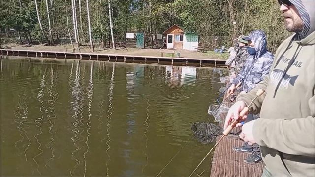 Поимки форели идут в нижнем горизонте. Спорт-зона. Клё?