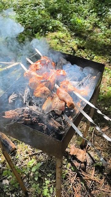 Отдых на природе с собаками.