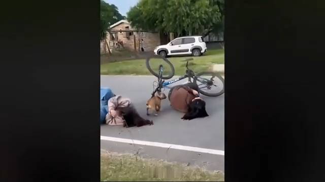 Я РЖАЛ ДО СЛЕЗ 😂 5 Минут ОТБОРНЫХ приколов 2025 Смешные видео - Лучшие ПРИКОЛЫ