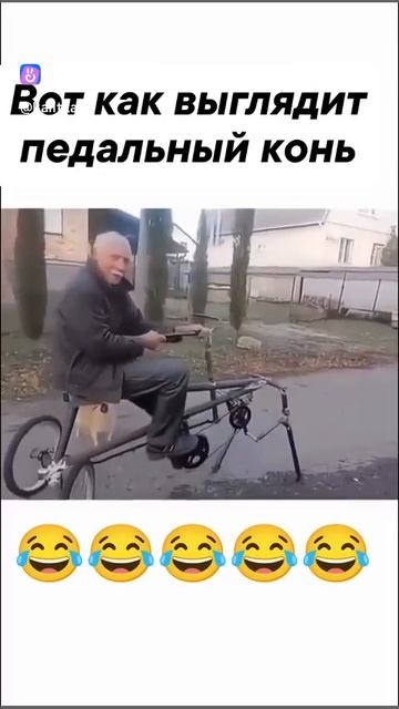 Конь педальный!