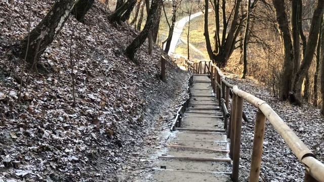 ХОЛОДНЫЙ,но СОЛНЕЧНЫЙ ФЕВРАЛЬ❄️КРАСИВЫЕ МЕСТА в ЛЕС?