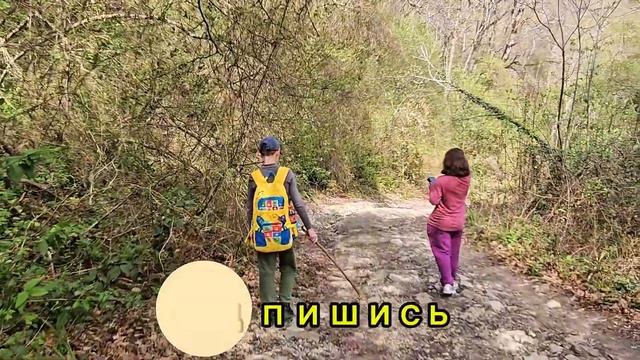 Крабовые ущелье без крабов, нас опять обманули #sochi #trave