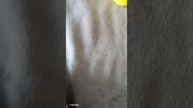 1000010683.mp4