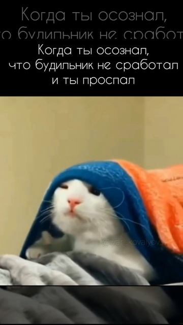 доброе утро😄