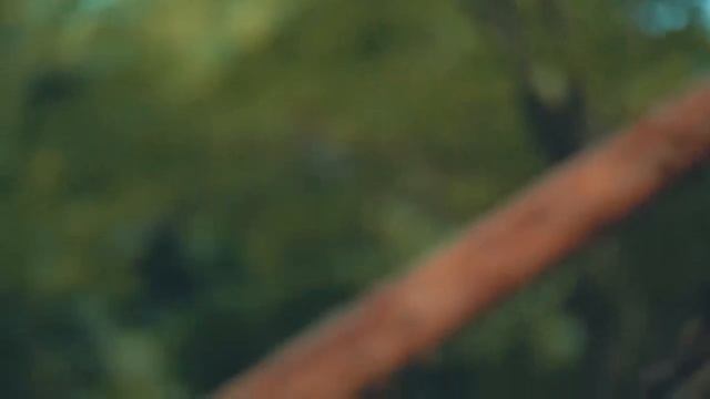 GopherVid 9 ЛАЙФХАКОВ ДЛЯ ВЫЖИВАНИЯ!