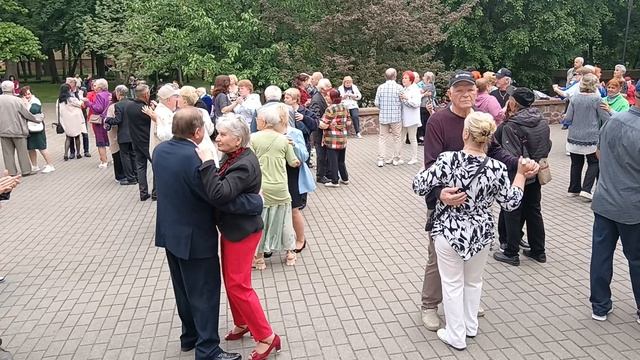 За окошком вишня...... 24.05.25 Гомель парк Луначарского 🥰💫