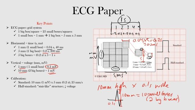 9.ECG Paper