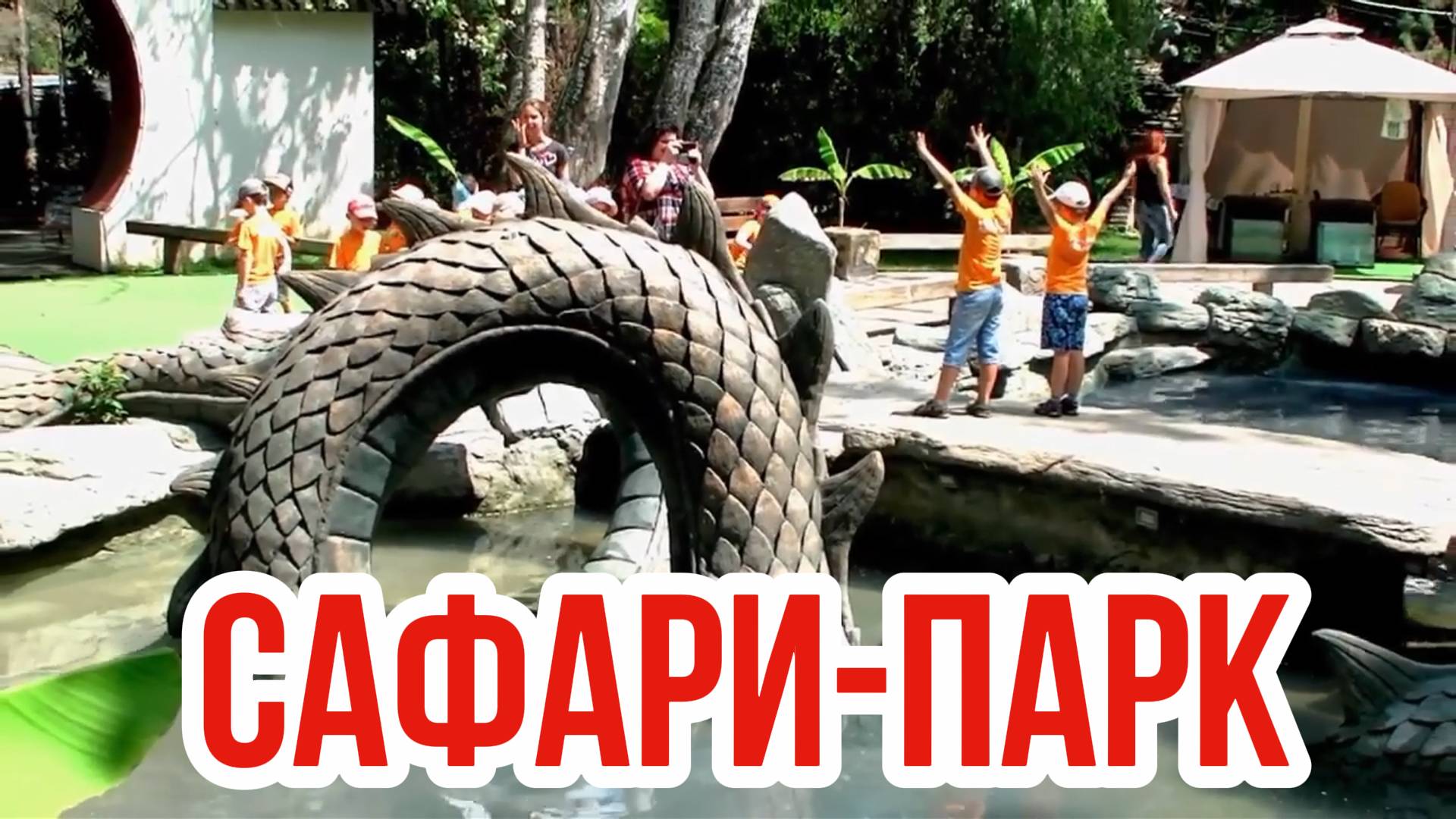 Жирафы, зебры, бегемот и другие животные в Краснодарском Сафари-парке