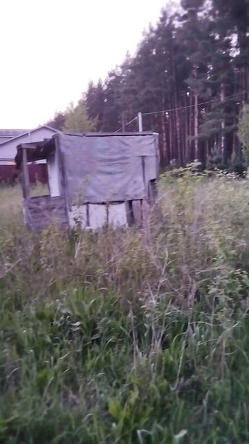 Поздний вечер