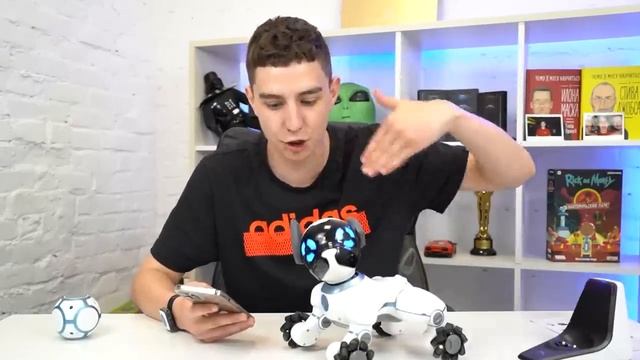ГЛЕНТ ОБЗОР НА РОБОТА СОБАКУ ! ОНА ОЧЕНЬ УМНАЯ !