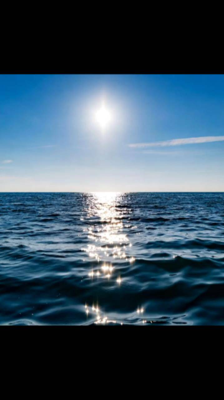 short_morskaya_bezdna