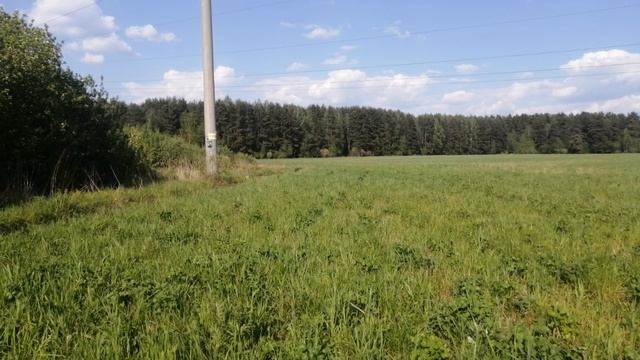 Поле