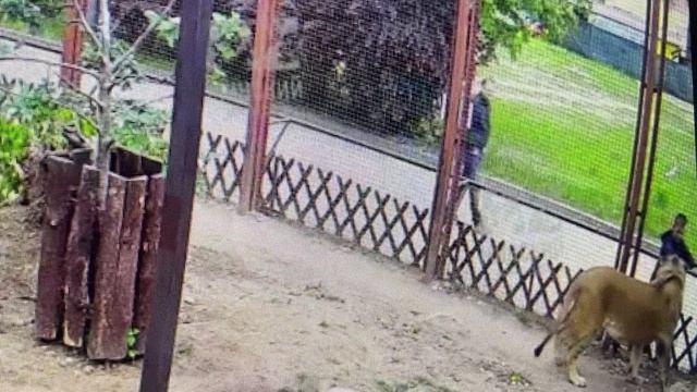 Дружба крепкая не сломается, не расклеится...полная... 16.05.2025