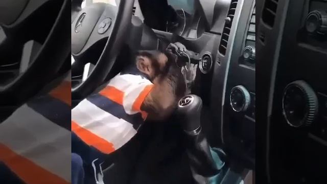 Ну что,поехали?!
