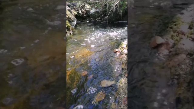 конный поход на водопад Гадельша. 08.09.2024