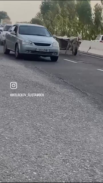 И такое тоже бывает!