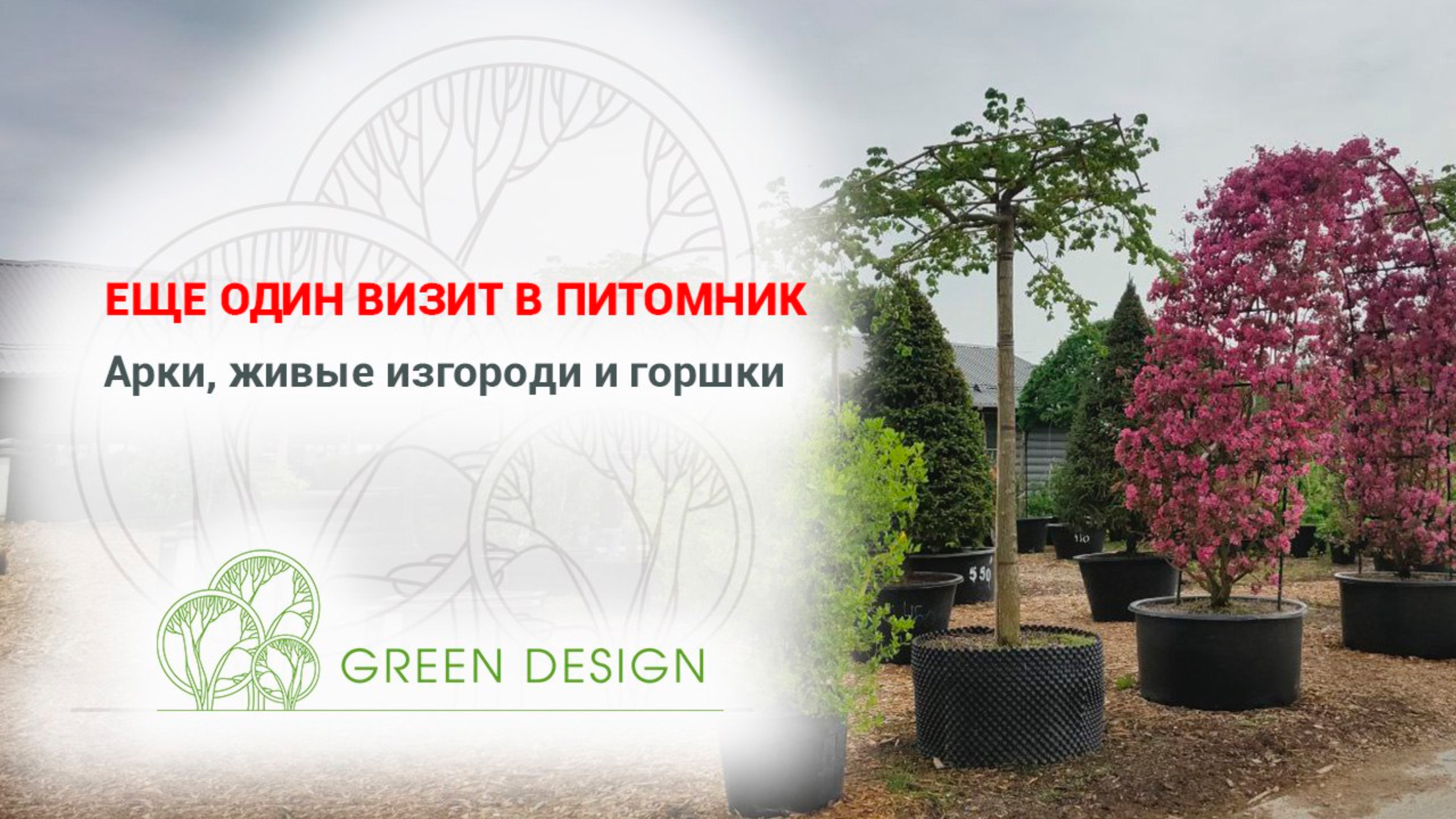 Ещё один визит в питомник