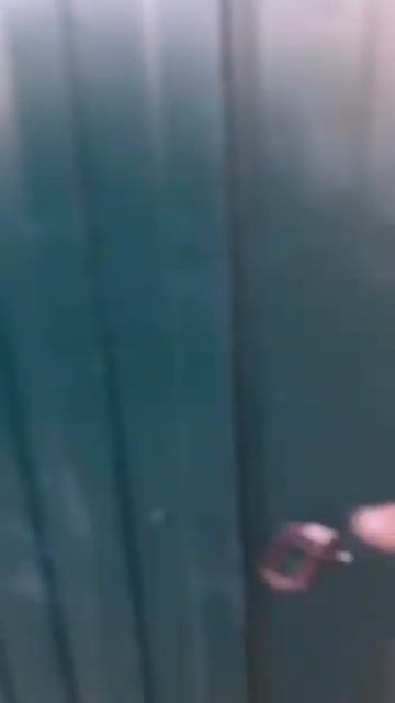 Забор «эконом»