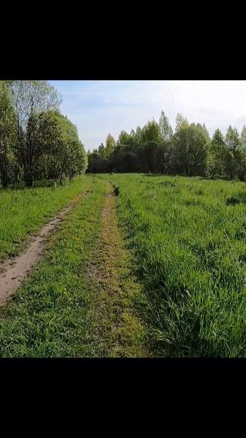 Поле мой не измеримый трек.