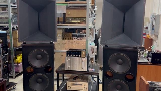 Напольная акустика Electro Voice TS 940