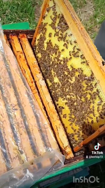 🐝🐝🐝🐝 магазины 🐝🐝🐝🐝